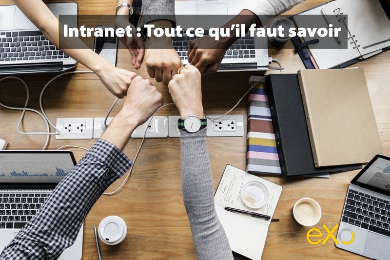 Intranet: Définition, Fonctionnalités et Avantages