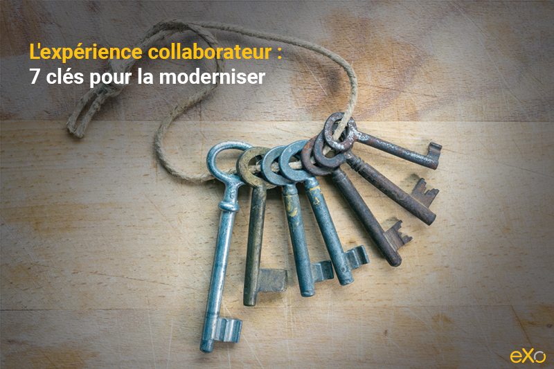 expérience collaborateur